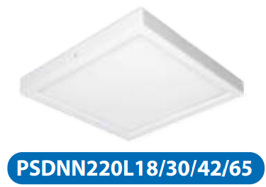 Led Downlight